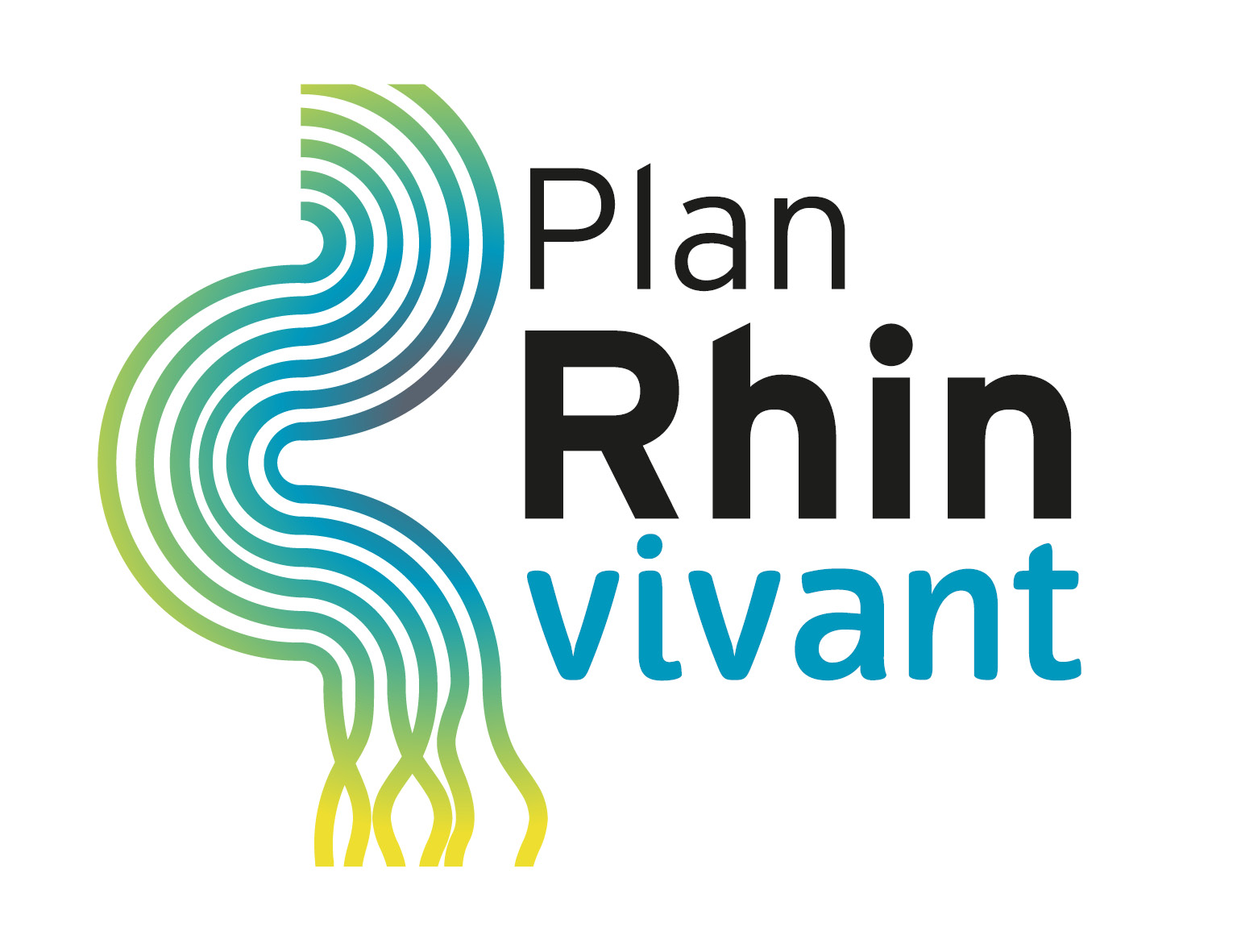 Lancement du site internet du Plan Rhin Vivant